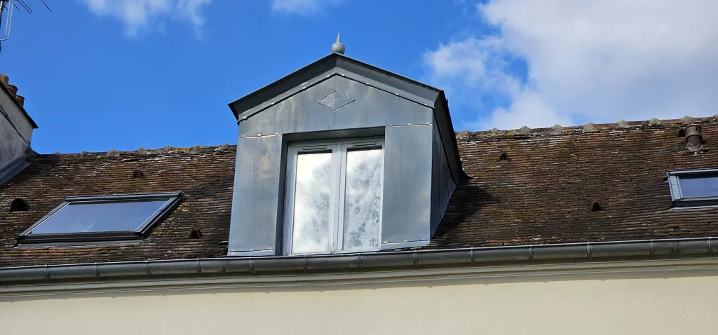 Nettoyage de toiture (77)