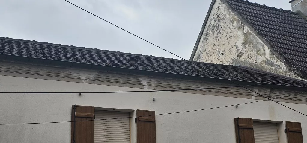 Reprise de faitage (77)