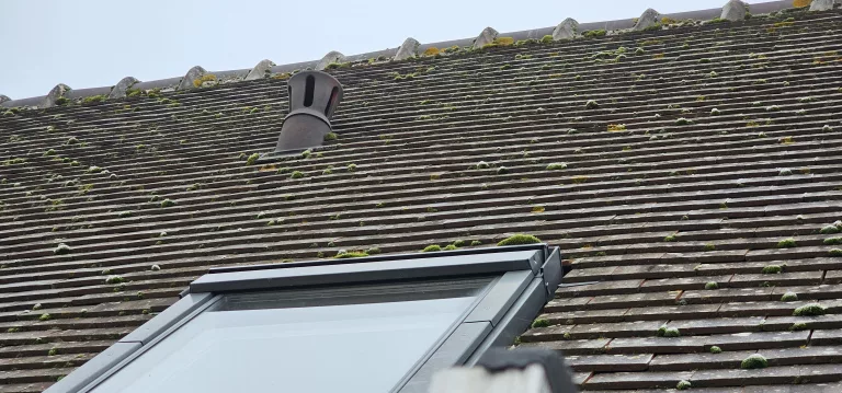 Nettoyage de toiture : pourquoi enlever la mousse est essentiel pour la durée de vie de votre toiture ?